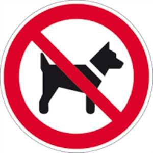 Mitführen von Hunden verboten